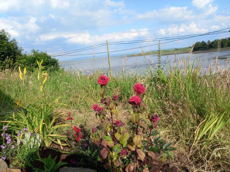 2 Quay Road, Killala. Stunning Sea Front Cottage Екстер'єр фото